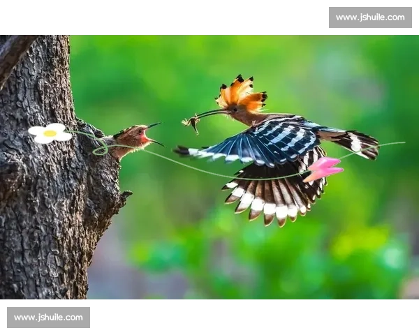 2015年全球摄影比赛回顾：捕捉瞬间与永恒的艺术之美